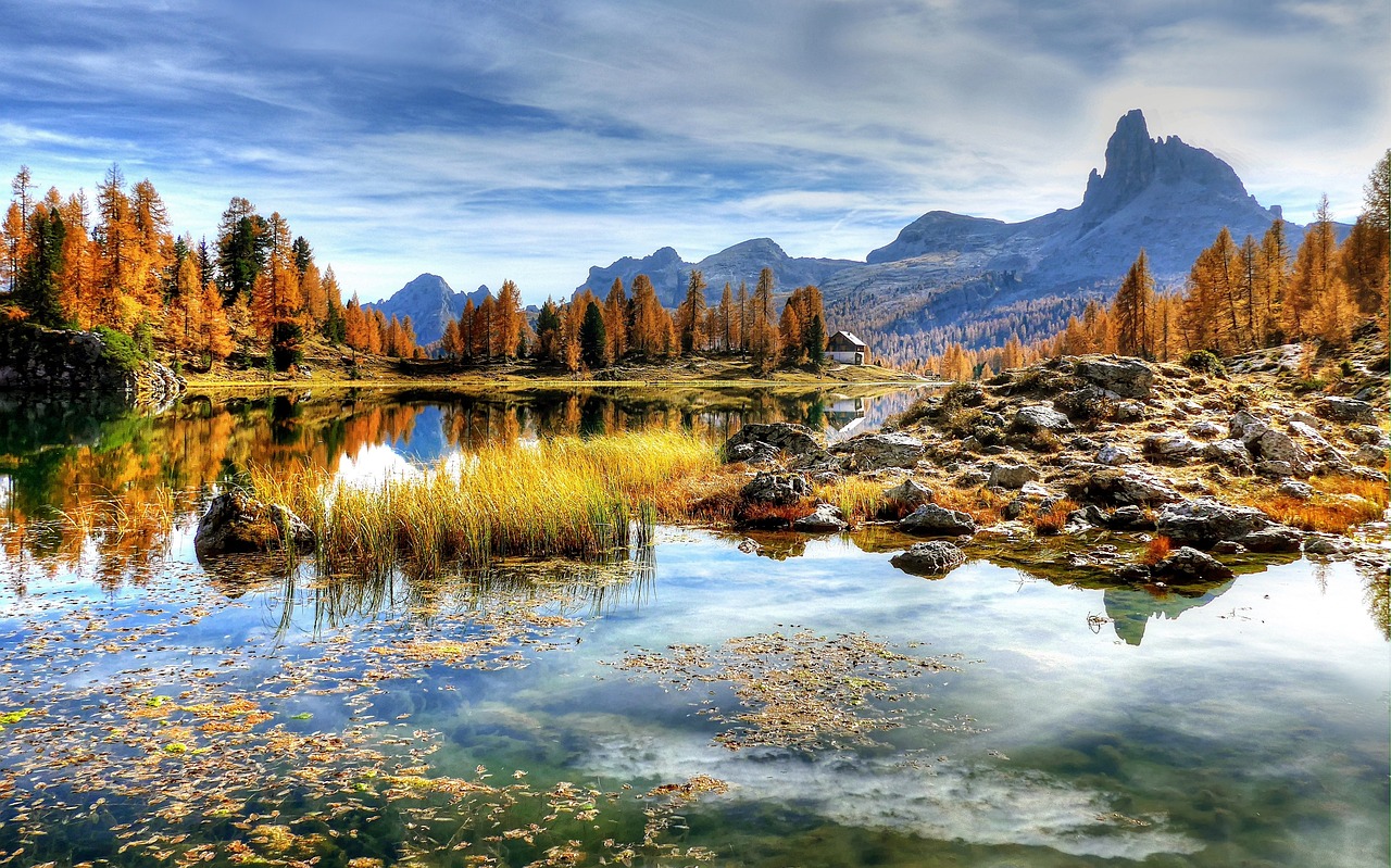 Animals in Alps