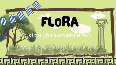 flora_of_the_olimpus_national_park_bruno_błażej_artur_wiktor_070520242lo_sieradz